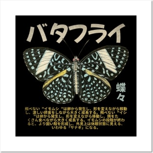 Butterfly Japanese grunge aesthetics Kanji Posters and Art